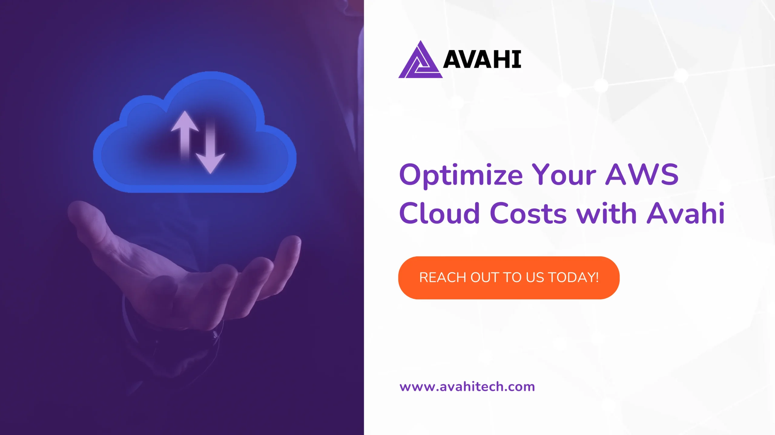Optimize Your AWS Cloud Costs with Avahi